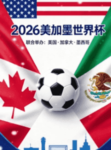 2026世界杯球场鸟瞰图
